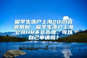 留学生落户上海2021名额限制，留学生落户上海公司HR不会办理，可以自己申请吗？